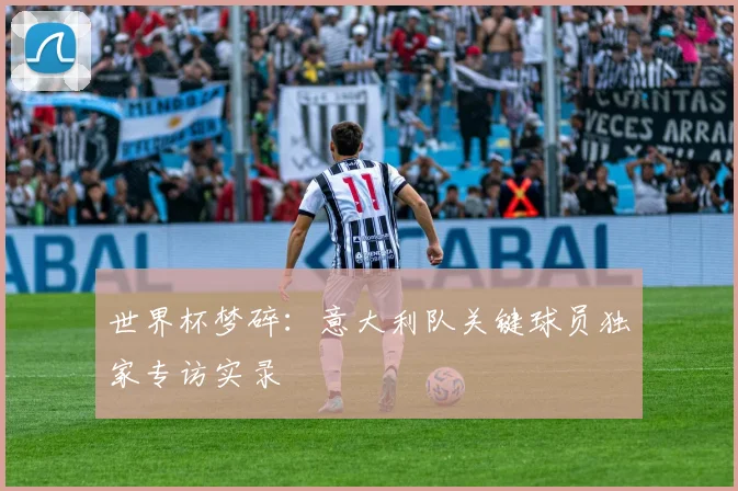 世界杯梦碎:意大利队关键球员独家专访实录