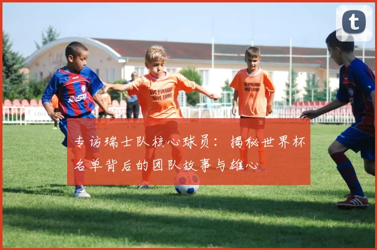 专访瑞士队核心球员:揭秘世界杯名单背后的团队故事与雄心