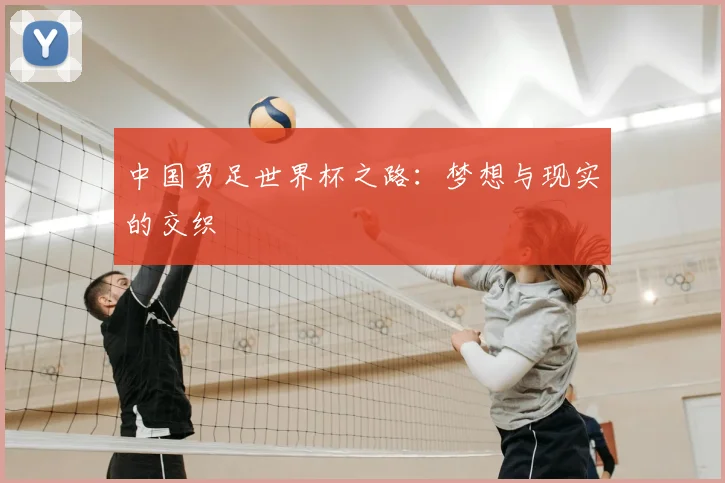 中国男足世界杯之路：梦想与现实的交织