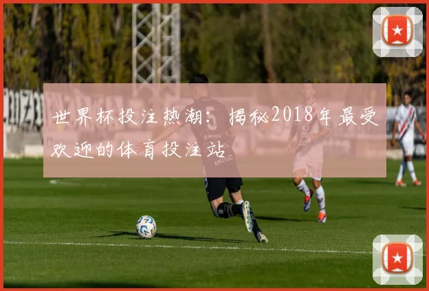 世界杯投注热潮：揭秘2018年最受欢迎的体育投注站
