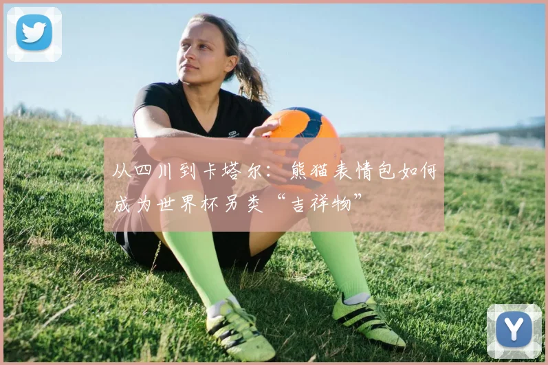 从四川到卡塔尔：熊猫表情包如何成为世界杯另类“吉祥物”