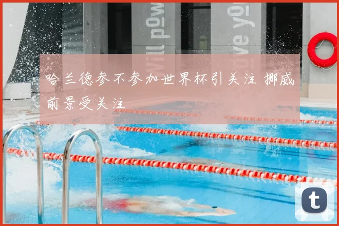 哈兰德参不参加世界杯引关注 挪威前景受关注
