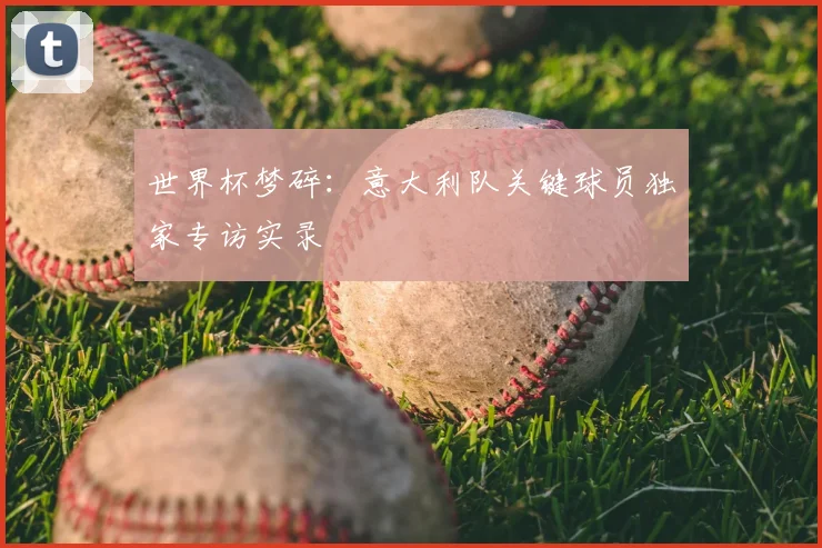 世界杯梦碎:意大利队关键球员独家专访实录
