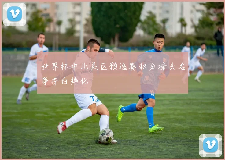 世界杯中北美区预选赛积分榜头名争夺白热化