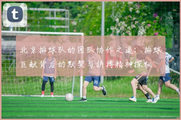 北京排球队的团队协作之道:排球巨献背后的默契与拼搏精神探秘