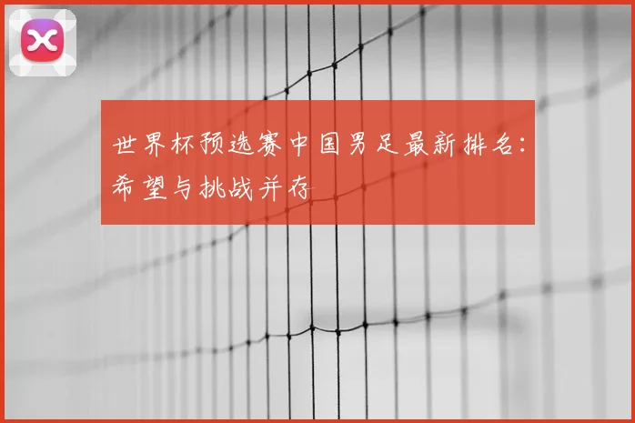 世界杯预选赛中国男足最新排名：希望与挑战并存