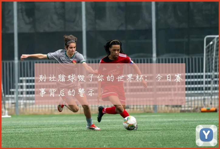 别让赌球毁了你的世界杯:今日赛事背后的警示