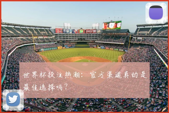 世界杯投注热潮：官方渠道真的是最佳选择吗？
