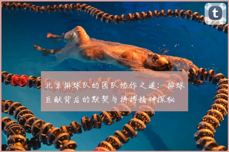 北京排球队的团队协作之道：排球巨献背后的默契与拼搏精神探秘